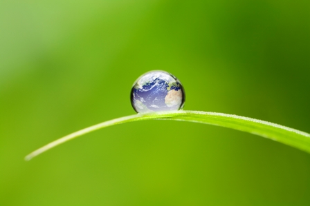 sustainability-001.jpg